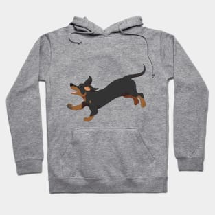 Dachshund Hoodie